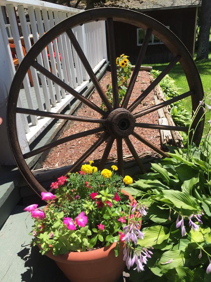 The Wheelhouse Inn Pine Hill Exteriör bild